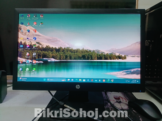 HP Monitor V194